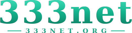 333net logo